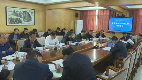 县政府2024年第五次常务会议召开